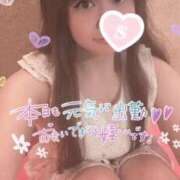 ヒメ日記 2025/11/06 08:14 投稿 忍（しのぶ） ビッグバード