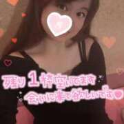 ヒメ日記 2025/11/08 15:14 投稿 忍（しのぶ） ビッグバード