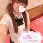 ヒメ日記 2025/11/09 08:22 投稿 忍（しのぶ） ビッグバード