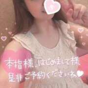 ヒメ日記 2025/11/19 13:54 投稿 忍（しのぶ） ビッグバード