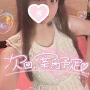 ヒメ日記 2025/11/20 12:44 投稿 忍（しのぶ） ビッグバード