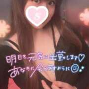 ヒメ日記 2025/11/21 13:55 投稿 忍（しのぶ） ビッグバード