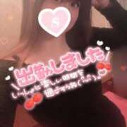 ヒメ日記 2025/11/22 08:14 投稿 忍（しのぶ） ビッグバード