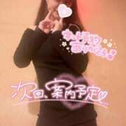 ヒメ日記 2025/11/27 10:44 投稿 忍（しのぶ） ビッグバード