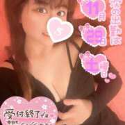 ヒメ日記 2025/11/27 18:14 投稿 忍（しのぶ） ビッグバード