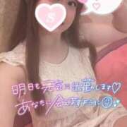 ヒメ日記 2025/11/28 15:34 投稿 忍（しのぶ） ビッグバード