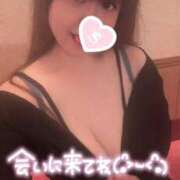 忍（しのぶ） ♡明日いるよ♡ ビッグバード