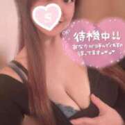 ヒメ日記 2025/12/06 11:21 投稿 忍（しのぶ） ビッグバード