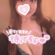 ヒメ日記 2025/12/12 14:04 投稿 忍（しのぶ） ビッグバード