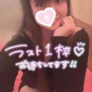 ヒメ日記 2025/12/13 13:24 投稿 忍（しのぶ） ビッグバード