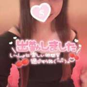 ヒメ日記 2025/12/18 08:14 投稿 忍（しのぶ） ビッグバード