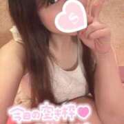 ヒメ日記 2025/12/20 09:30 投稿 忍（しのぶ） ビッグバード