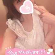 ヒメ日記 2026/02/22 08:14 投稿 忍（しのぶ） ビッグバード