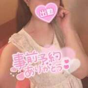 ヒメ日記 2026/02/28 08:14 投稿 忍（しのぶ） ビッグバード