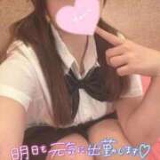 ヒメ日記 2026/03/11 13:44 投稿 忍（しのぶ） ビッグバード