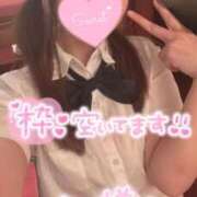 ヒメ日記 2026/03/12 12:44 投稿 忍（しのぶ） ビッグバード