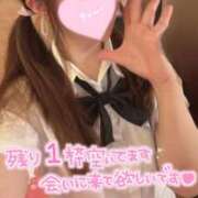ヒメ日記 2026/04/05 12:44 投稿 忍（しのぶ） ビッグバード