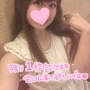 ヒメ日記 2026/05/02 15:36 投稿 忍（しのぶ） ビッグバード