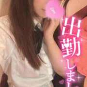 ヒメ日記 2026/05/09 08:00 投稿 忍（しのぶ） ビッグバード