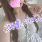 ヒメ日記 2026/05/12 12:54 投稿 忍（しのぶ） ビッグバード