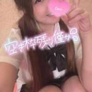 ヒメ日記 2026/05/14 13:54 投稿 忍（しのぶ） ビッグバード