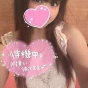 ヒメ日記 2026/05/21 12:34 投稿 忍（しのぶ） ビッグバード