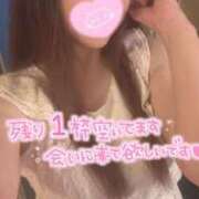 忍（しのぶ） ♡ラスト1枠です♡ ビッグバード