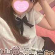ヒメ日記 2026/09/10 08:14 投稿 忍（しのぶ） ビッグバード