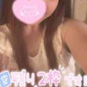 ヒメ日記 2026/09/19 11:44 投稿 忍（しのぶ） ビッグバード