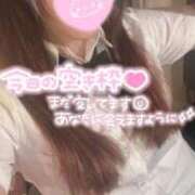 ヒメ日記 2026/09/20 08:04 投稿 忍（しのぶ） ビッグバード