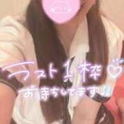 ヒメ日記 2026/09/23 15:34 投稿 忍（しのぶ） ビッグバード
