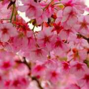 ヒメ日記 2026/03/03 16:12 投稿 まりん ラッシュアワー