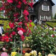 ヒメ日記 2025/05/14 05:41 投稿 しさ 夜這い茶屋 はなれ