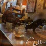 ヒメ日記 2025/05/22 17:30 投稿 しさ 夜這い茶屋 はなれ