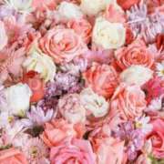 ヒメ日記 2025/04/08 17:02 投稿 ♡りんね先生♡ 梅田ムチぽよ女学院