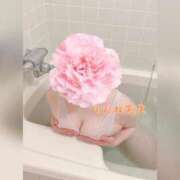 ヒメ日記 2025/07/27 17:10 投稿 ♡りんね先生♡ 梅田ムチぽよ女学院