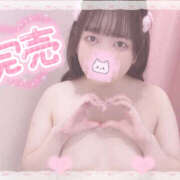 ヒメ日記 2025/03/15 20:29 投稿 ひめの ちゃんこ大阪伊丹空港豊中店