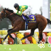 ヒメ日記 2025/04/09 12:42 投稿 ひめの ちゃんこ大阪伊丹空港豊中店