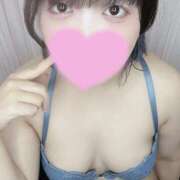 ヒメ日記 2025/04/11 19:01 投稿 ひめの ちゃんこ大阪伊丹空港豊中店