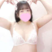 ヒメ日記 2025/04/27 06:16 投稿 ひめの ちゃんこ大阪伊丹空港豊中店