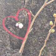 ヒメ日記 2025/03/23 17:28 投稿 はるひ 東京アロマスタイル