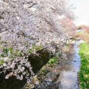 ヒメ日記 2025/03/23 17:20 投稿 イノリ Ageha(アゲハ)