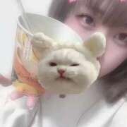 ヒメ日記 2025/03/14 05:35 投稿 ここな すぐ舐めたくて学園立川校〜舐めたくてグループ〜