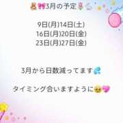 ヒメ日記 2026/03/01 12:02 投稿 望月みのり アラフォーna奥様 アラフィフna奥様（埼玉ハレ系）