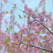 ヒメ日記 2025/04/04 20:29 投稿 さおり ハイブリッドヘルス小岩中央