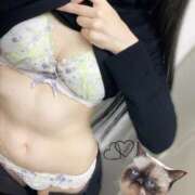 ヒメ日記 2026/02/04 13:29 投稿 さおり ハイブリッドヘルス小岩中央