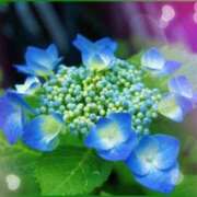 ヒメ日記 2025/06/11 21:58 投稿 川根真理子 五十路マダム愛されたい熟女たち 福山店(カサブランカグループ)