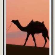 ヒメ日記 2025/06/13 21:24 投稿 川根真理子 五十路マダム愛されたい熟女たち 福山店(カサブランカグループ)