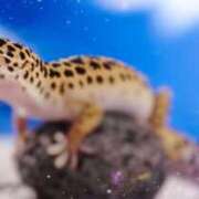 ヒメ日記 2025/07/01 22:32 投稿 川根真理子 五十路マダム愛されたい熟女たち 福山店(カサブランカグループ)