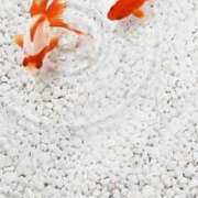 ヒメ日記 2025/07/31 00:16 投稿 川根真理子 五十路マダム愛されたい熟女たち 福山店(カサブランカグループ)